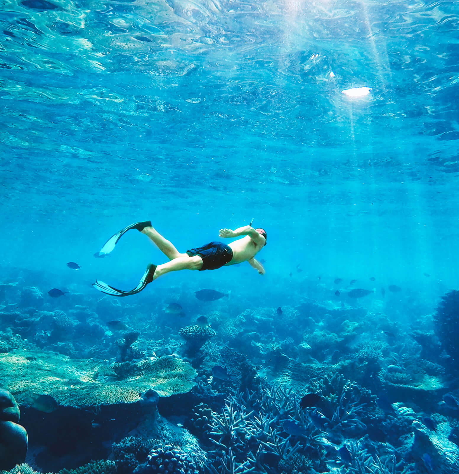 Experiences - Hotel Webflow Template