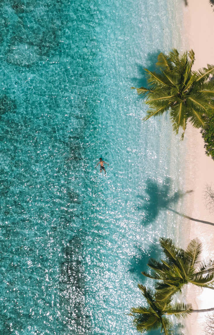 About Gallery - Hotel Webflow Template